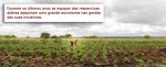 agricultura FE